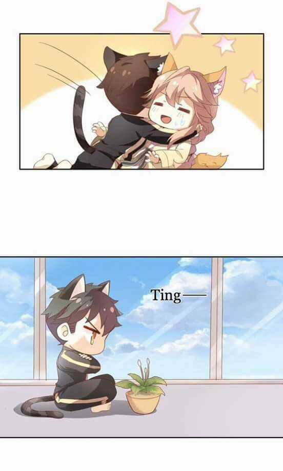 Dưới Móng Vuốt Mèo - Chapter 2 - Trang 30