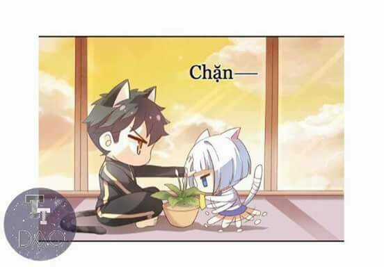 Dưới Móng Vuốt Mèo - Chapter 2 - Trang 31