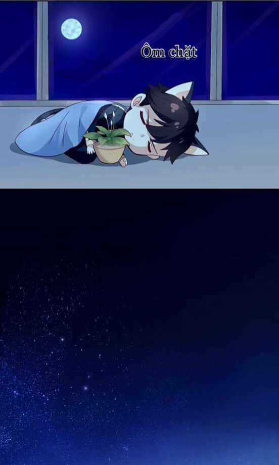 Dưới Móng Vuốt Mèo - Chapter 2 - Trang 32
