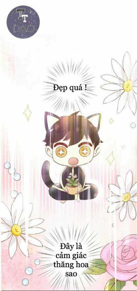Dưới Móng Vuốt Mèo - Chapter 2 - Trang 35