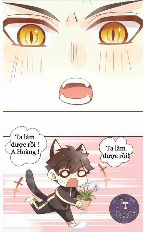 Dưới Móng Vuốt Mèo - Chapter 2 - Trang 36