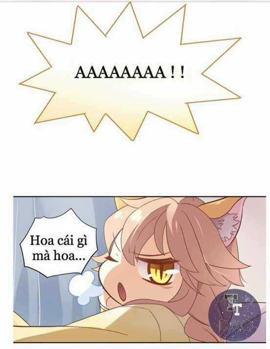 Dưới Móng Vuốt Mèo - Chapter 2 - Trang 38