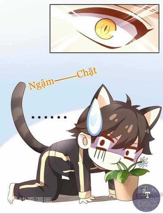 Dưới Móng Vuốt Mèo - Chapter 2 - Trang 39