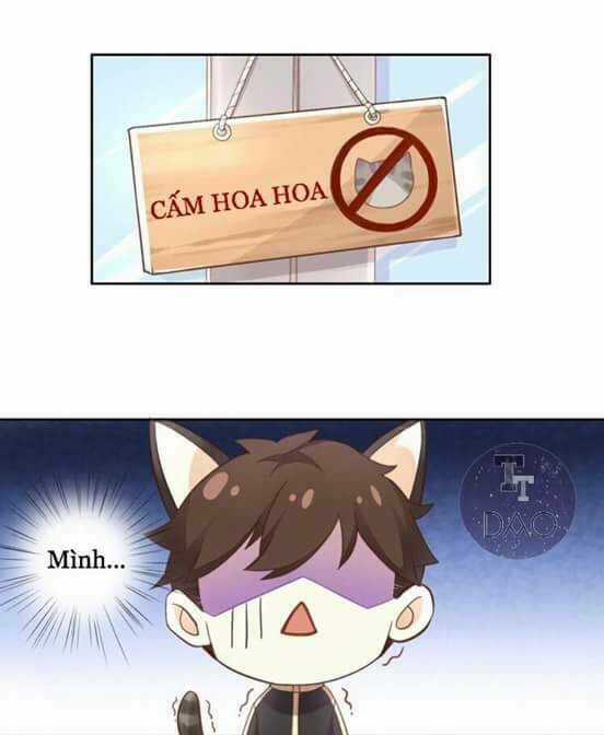 Dưới Móng Vuốt Mèo - Chapter 2 - Trang 42