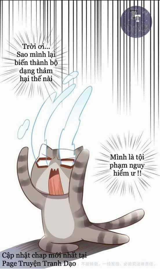 Dưới Móng Vuốt Mèo - Chapter 2 - Trang 43
