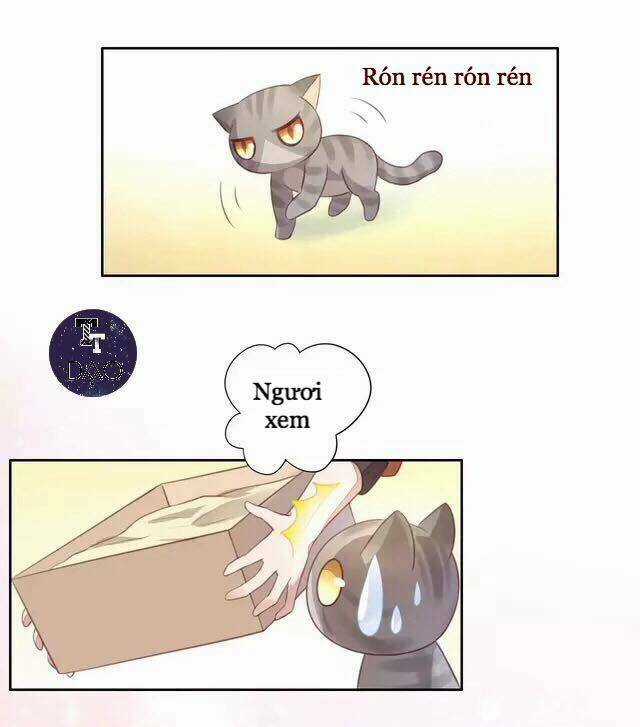 Dưới Móng Vuốt Mèo - Chapter 20 - Trang 11