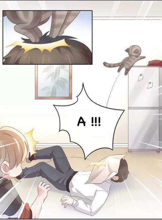 Dưới Móng Vuốt Mèo - Chapter 20 - Trang 19