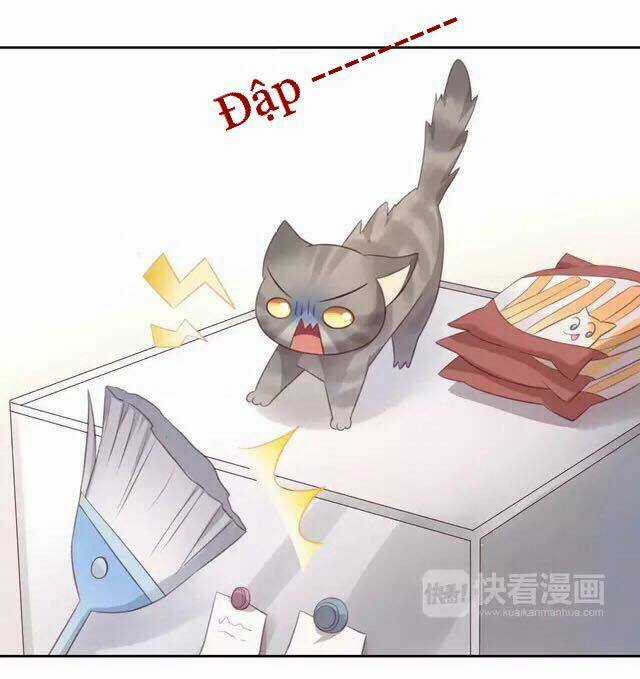 Dưới Móng Vuốt Mèo - Chapter 20 - Trang 21