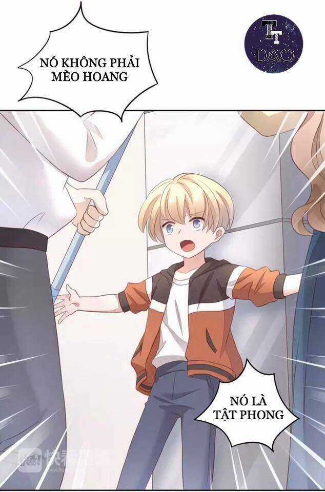 Dưới Móng Vuốt Mèo - Chapter 20 - Trang 22