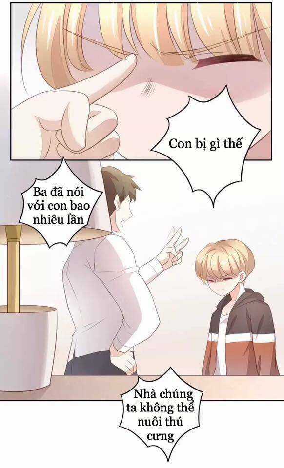 Dưới Móng Vuốt Mèo - Chapter 20 - Trang 23