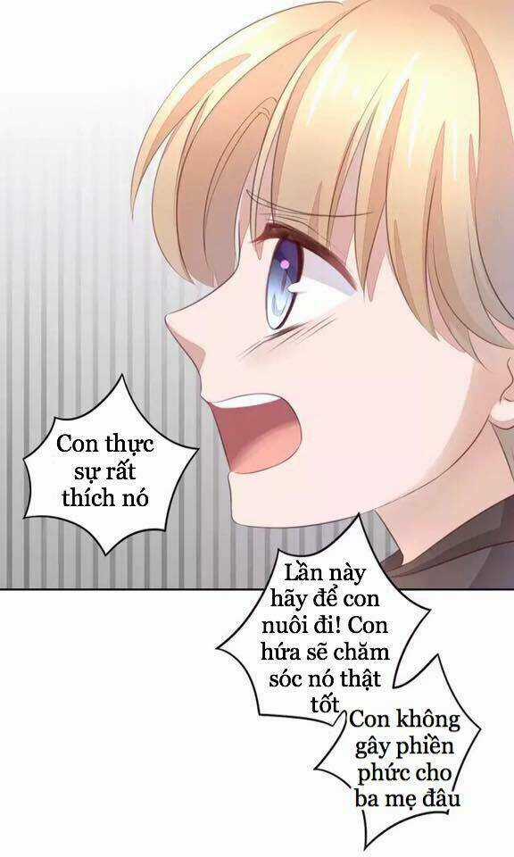 Dưới Móng Vuốt Mèo - Chapter 20 - Trang 25