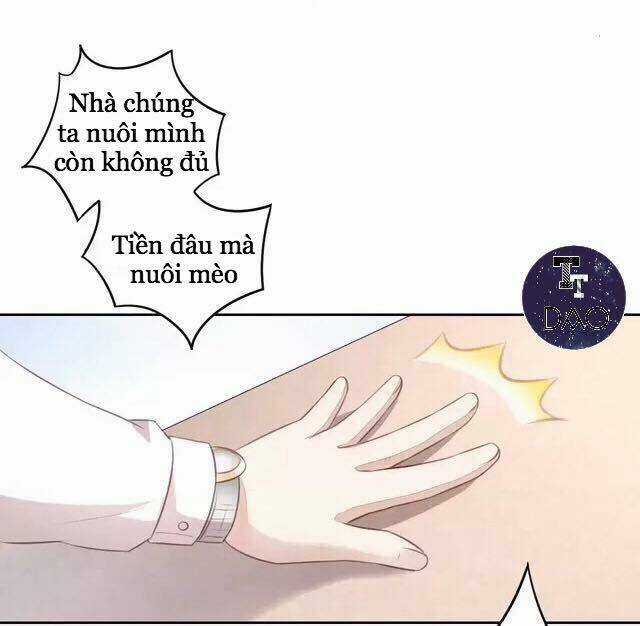 Dưới Móng Vuốt Mèo - Chapter 20 - Trang 26