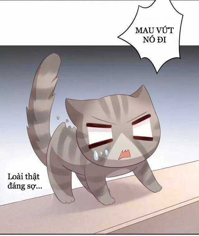 Dưới Móng Vuốt Mèo - Chapter 20 - Trang 27