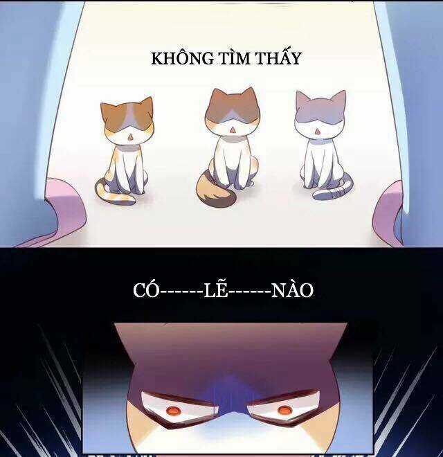 Dưới Móng Vuốt Mèo - Chapter 20 - Trang 4