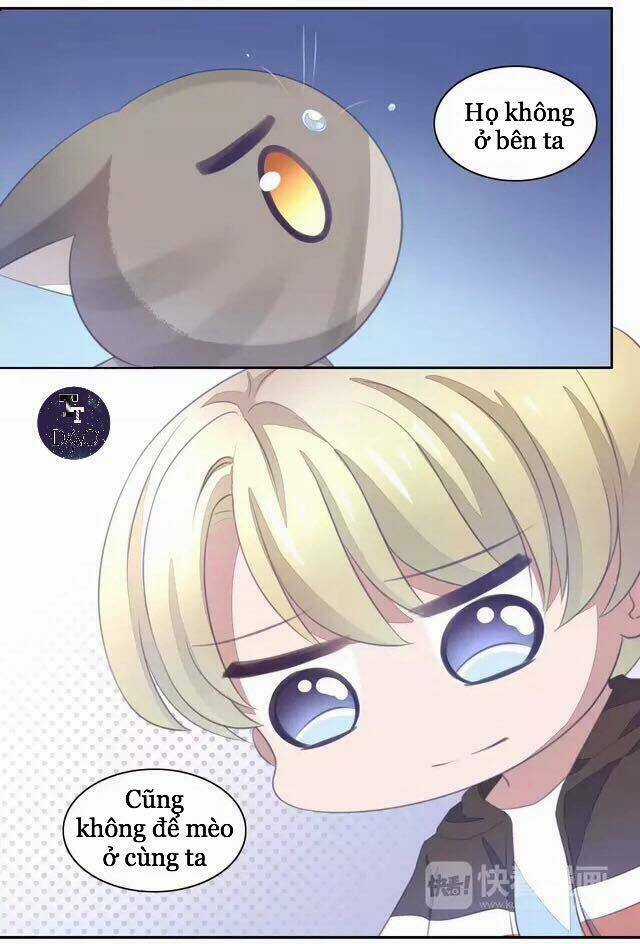 Dưới Móng Vuốt Mèo - Chapter 20 - Trang 31