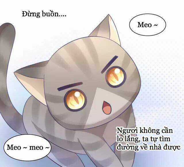 Dưới Móng Vuốt Mèo - Chapter 20 - Trang 33