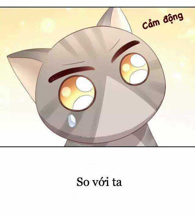 Dưới Móng Vuốt Mèo - Chapter 20 - Trang 35