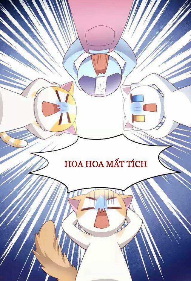 Dưới Móng Vuốt Mèo - Chapter 20 - Trang 5