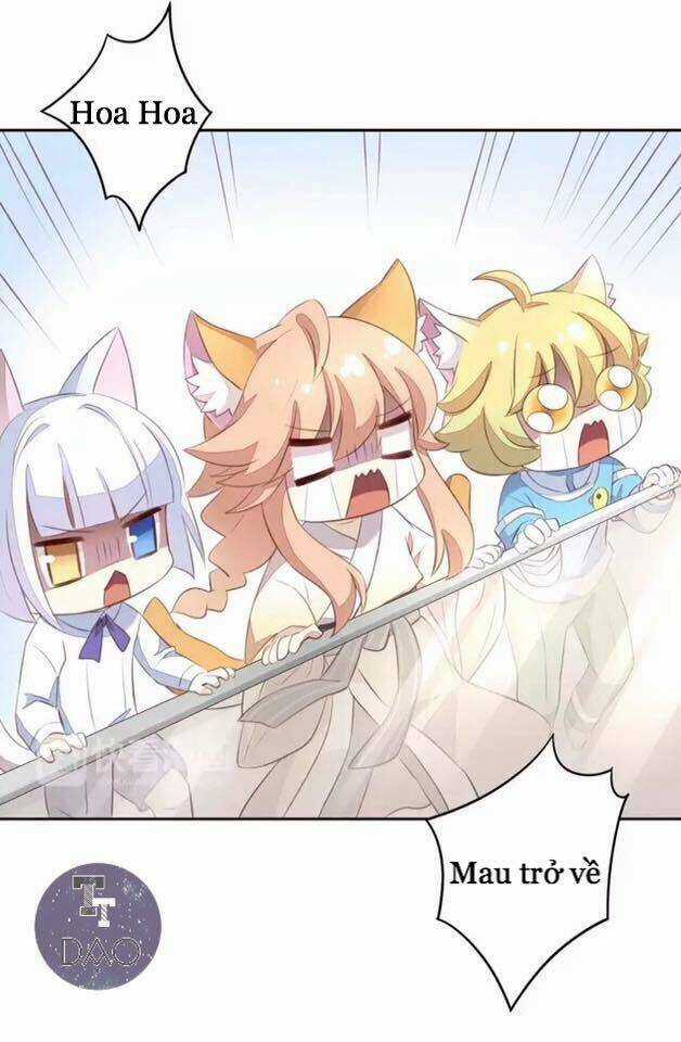 Dưới Móng Vuốt Mèo - Chapter 20 - Trang 43