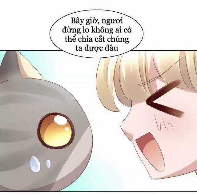 Dưới Móng Vuốt Mèo - Chapter 20 - Trang 47