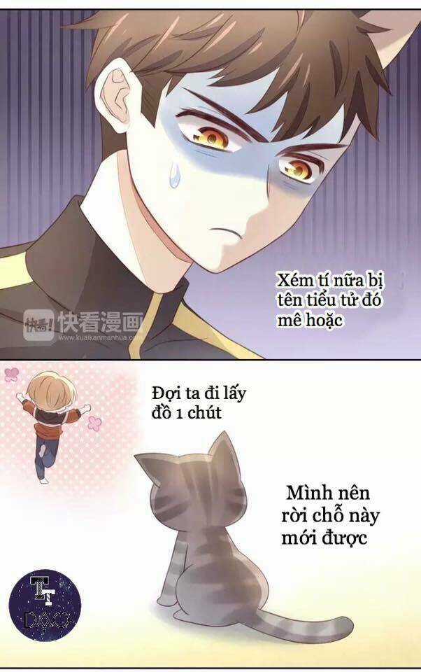 Dưới Móng Vuốt Mèo - Chapter 20 - Trang 10