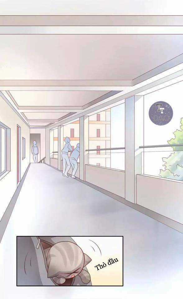 Dưới Móng Vuốt Mèo - Chapter 21 - Trang 21