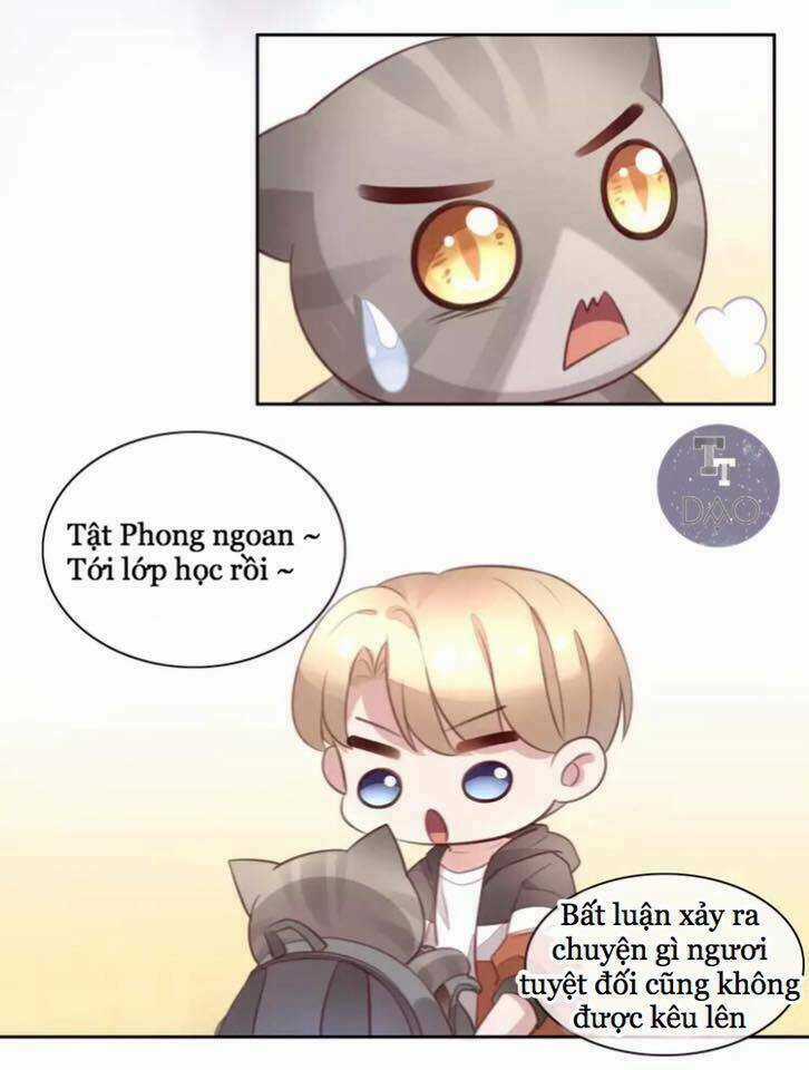 Dưới Móng Vuốt Mèo - Chapter 21 - Trang 22