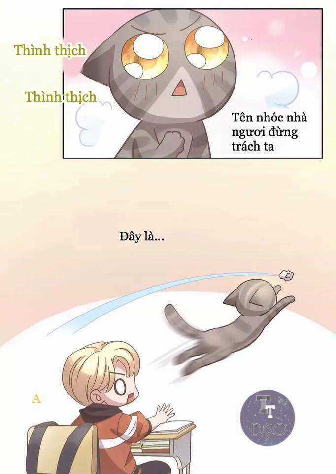 Dưới Móng Vuốt Mèo - Chapter 21 - Trang 38