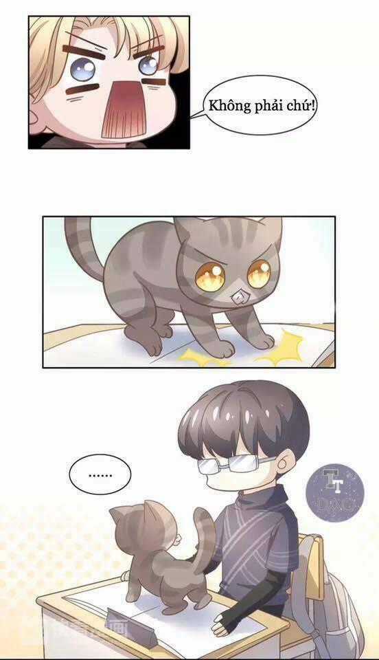 Dưới Móng Vuốt Mèo - Chapter 21 - Trang 40
