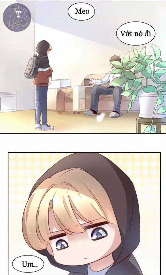 Dưới Móng Vuốt Mèo - Chapter 21 - Trang 6
