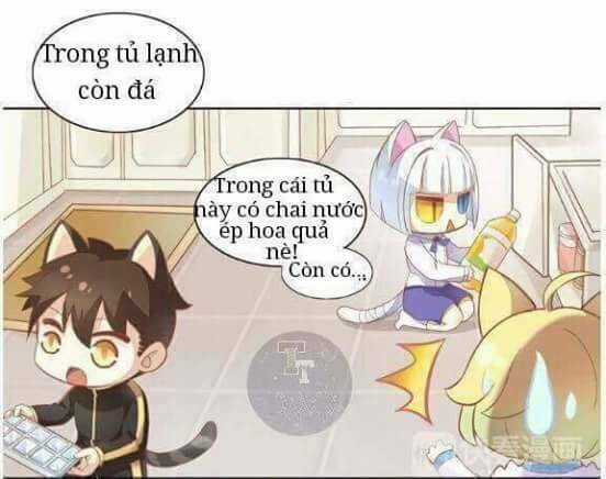 Dưới Móng Vuốt Mèo - Chapter 3 - Trang 12