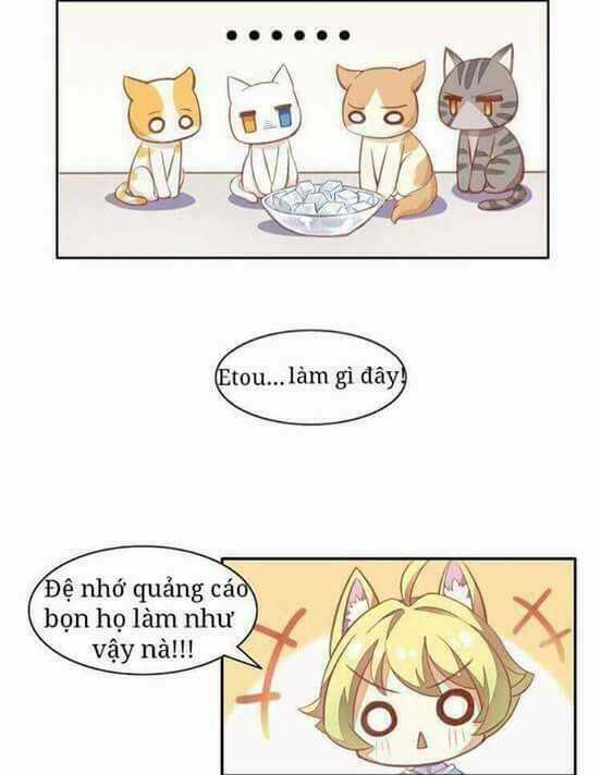 Dưới Móng Vuốt Mèo - Chapter 3 - Trang 16