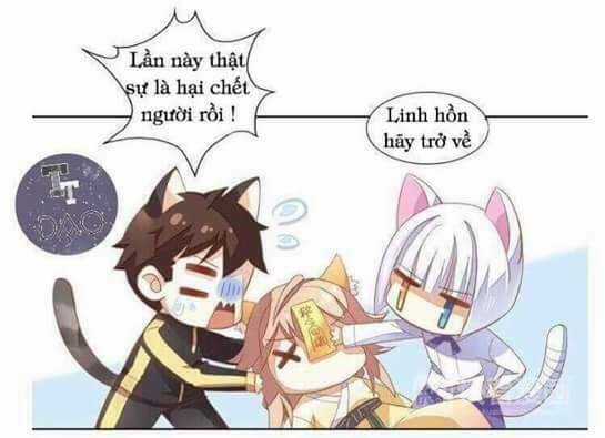 Dưới Móng Vuốt Mèo - Chapter 3 - Trang 24