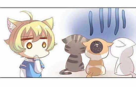 Dưới Móng Vuốt Mèo - Chapter 3 - Trang 27