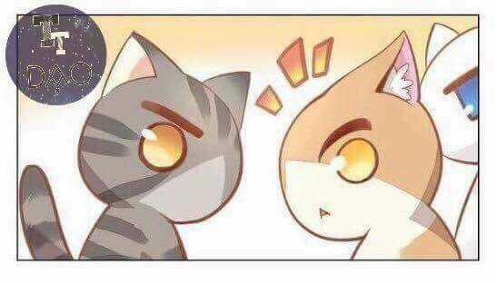 Dưới Móng Vuốt Mèo - Chapter 3 - Trang 29