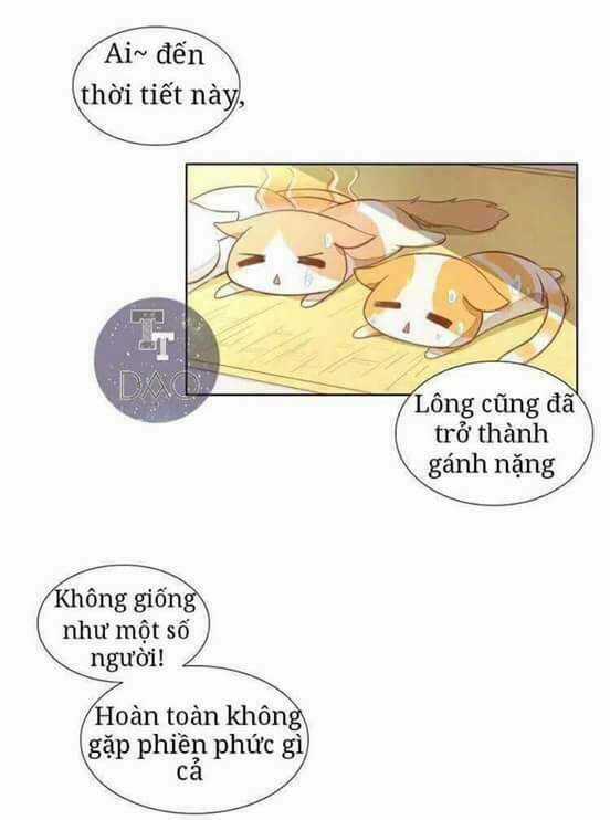 Dưới Móng Vuốt Mèo - Chapter 3 - Trang 4