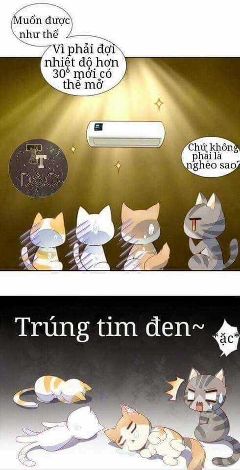 Dưới Móng Vuốt Mèo - Chapter 3 - Trang 6