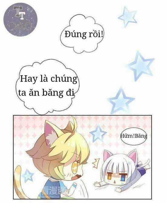 Dưới Móng Vuốt Mèo - Chapter 3 - Trang 7