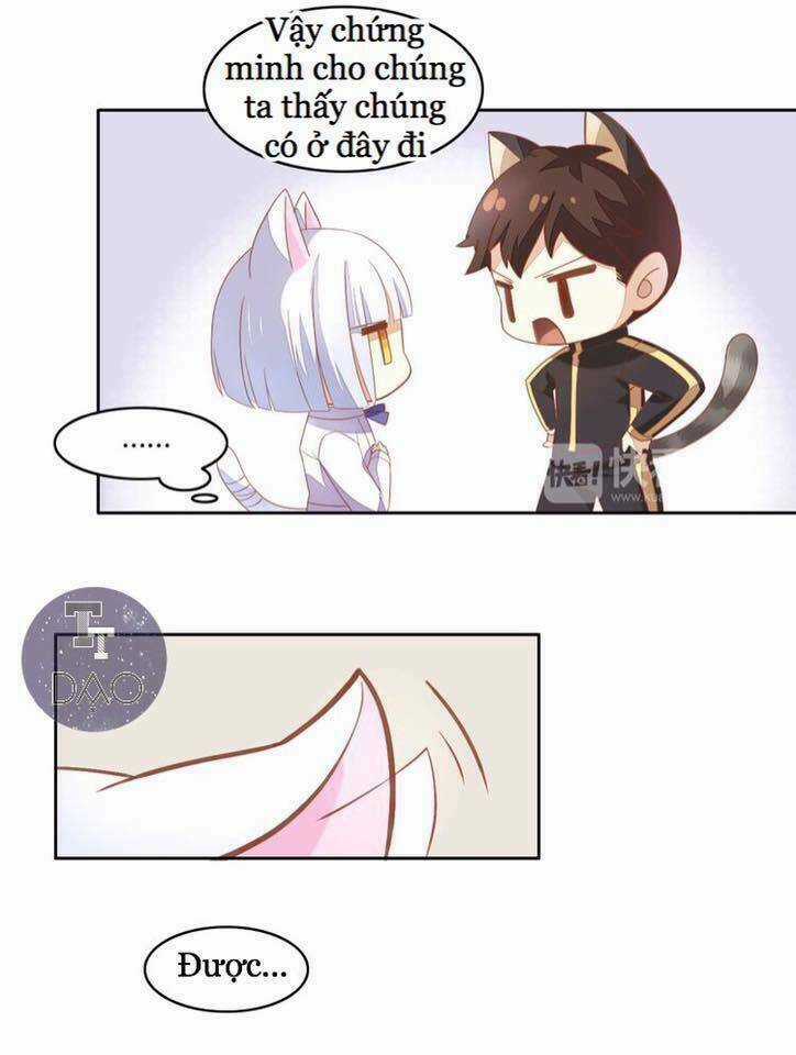Dưới Móng Vuốt Mèo - Chapter 4 - Trang 11