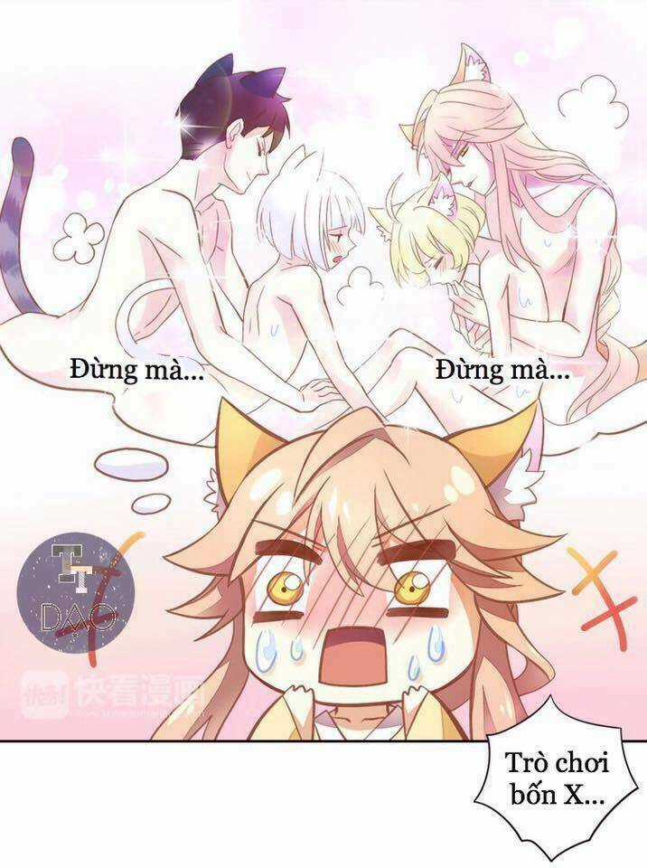 Dưới Móng Vuốt Mèo - Chapter 4 - Trang 13