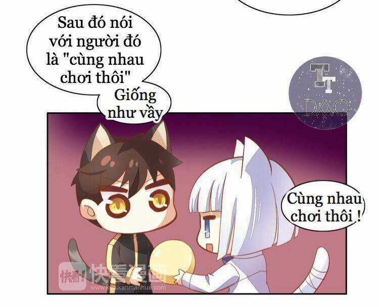 Dưới Móng Vuốt Mèo - Chapter 4 - Trang 16