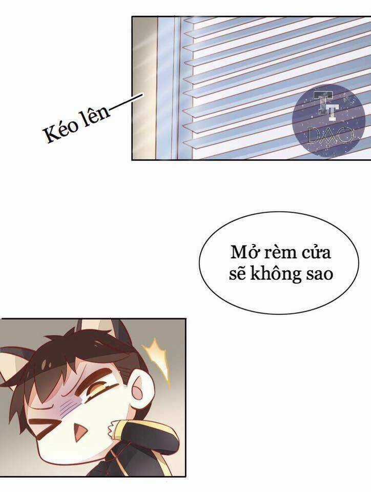 Dưới Móng Vuốt Mèo - Chapter 4 - Trang 28