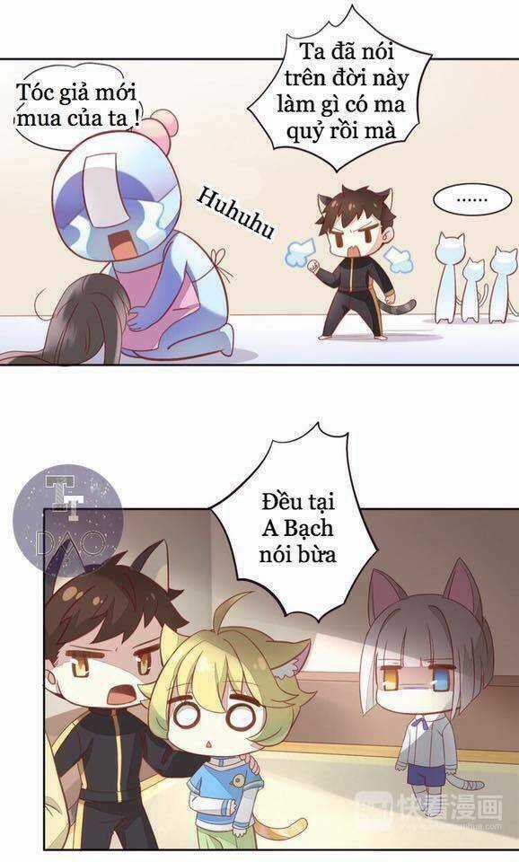 Dưới Móng Vuốt Mèo - Chapter 4 - Trang 31