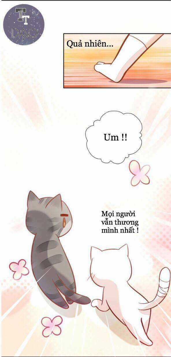 Dưới Móng Vuốt Mèo - Chapter 4 - Trang 37