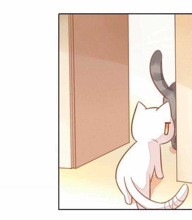 Dưới Móng Vuốt Mèo - Chapter 4 - Trang 38