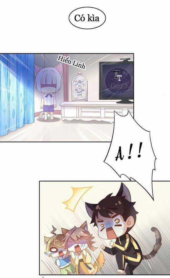 Dưới Móng Vuốt Mèo - Chapter 4 - Trang 6