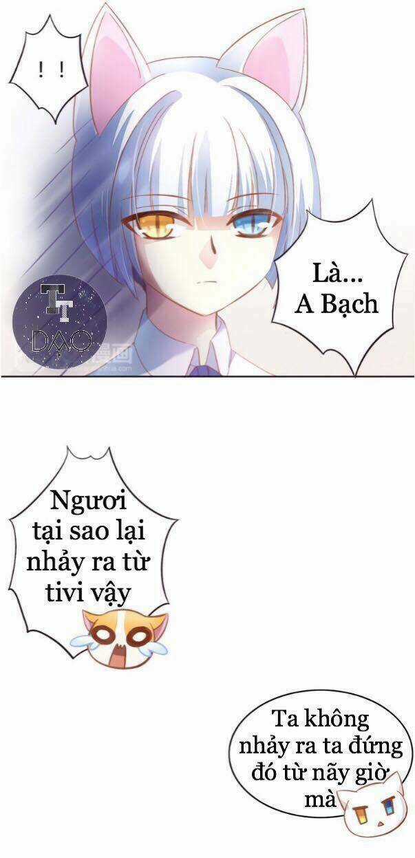 Dưới Móng Vuốt Mèo - Chapter 4 - Trang 7