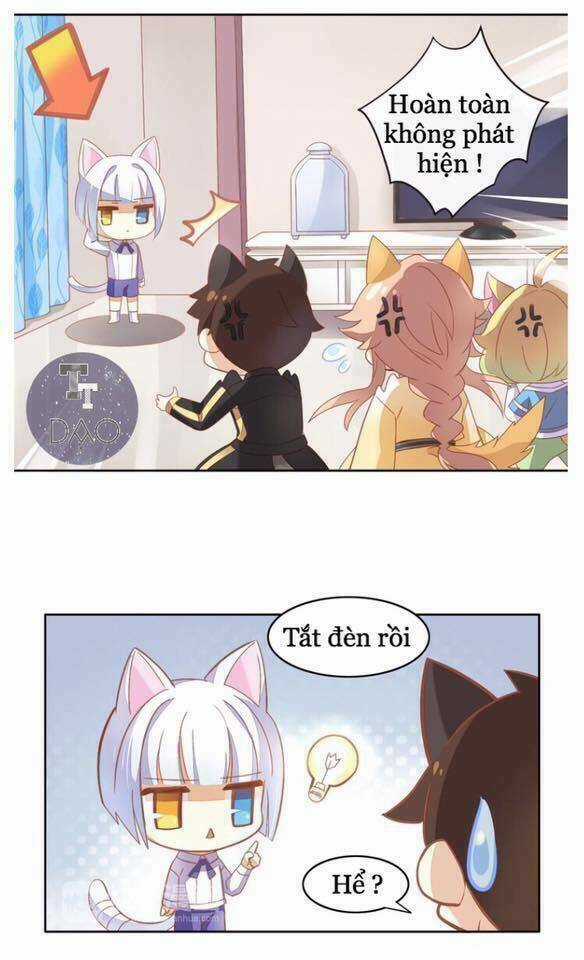 Dưới Móng Vuốt Mèo - Chapter 4 - Trang 8