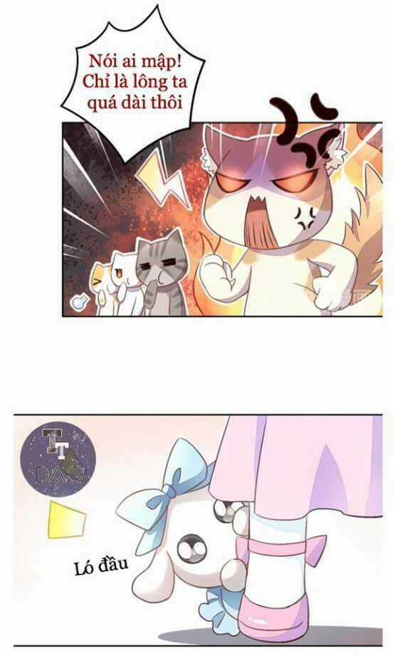 Dưới Móng Vuốt Mèo - Chapter 5 - Trang 13