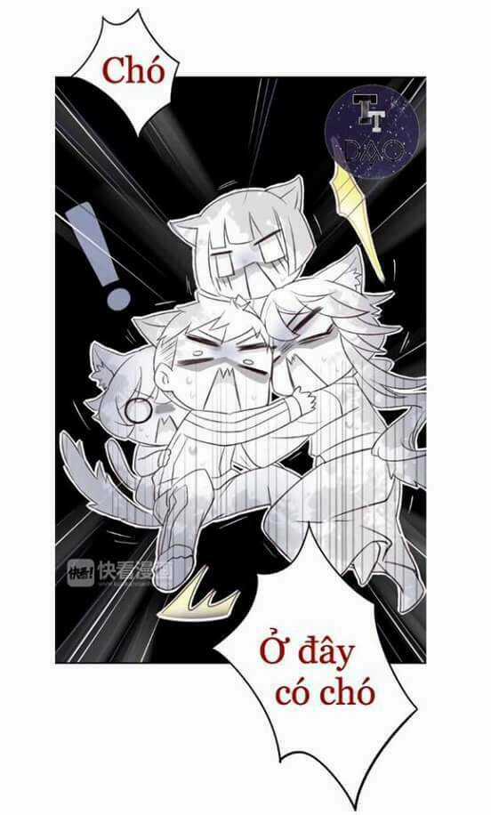 Dưới Móng Vuốt Mèo - Chapter 5 - Trang 14